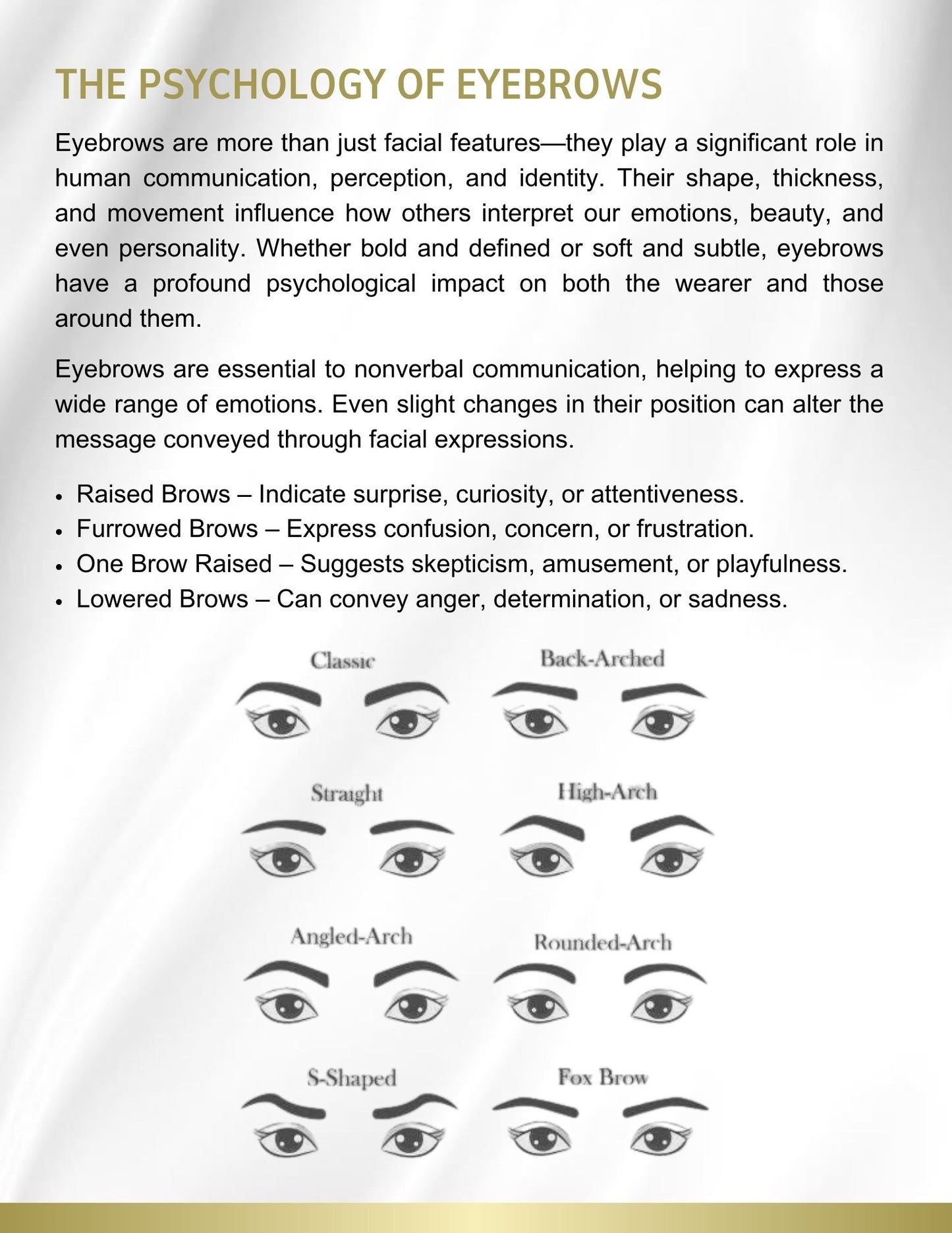 Eye Brow Beauty 101